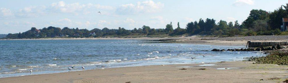 Grundejerforeningen Munkerup Have