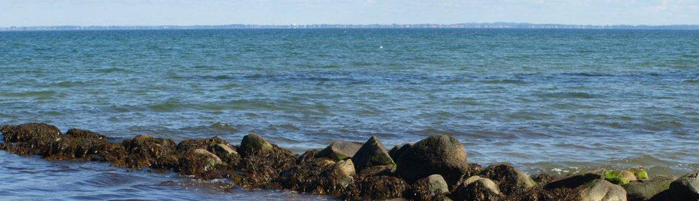 Grundejerforeningen Munkerup Have